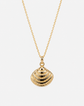 Shell of Love Necklace